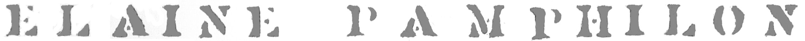 Elaine Pamphilon – artist